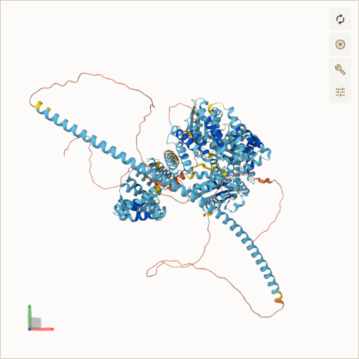 Predicted ribbon structure of NPHP3 (Q7Z494) — coloured by sequence position from N-terminus (blue) to C-terminus (red)