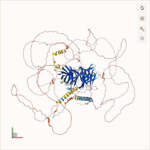 Predicted ribbon structure of PALB2 (Q86YC2) — coloured by sequence position from N-terminus (blue) to C-terminus (red)