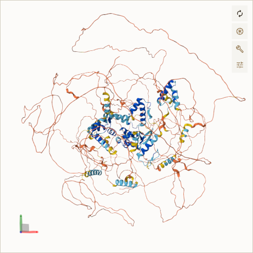 Predicted ribbon structure of SLX4 (Q8IY92) — coloured by sequence position from N-terminus (blue) to C-terminus (red)