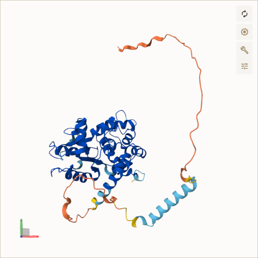 Predicted ribbon structure of CHST14 (Q8NCH0) — coloured by sequence position from N-terminus (blue) to C-terminus (red)