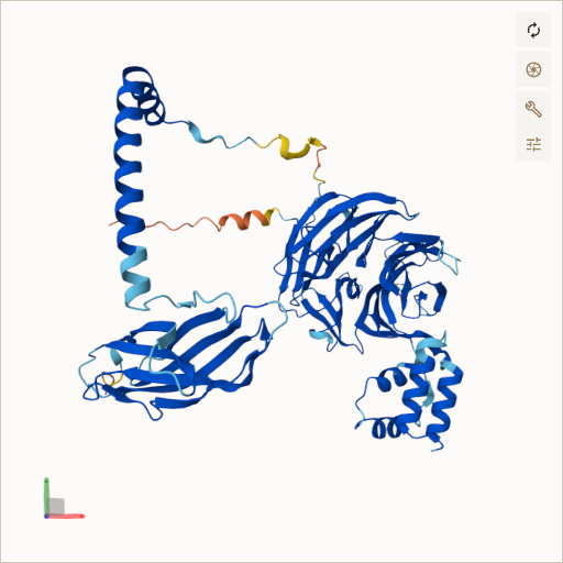 Predicted ribbon structure of BBS1 (Q8NFJ9) — coloured by sequence position from N-terminus (blue) to C-terminus (red)