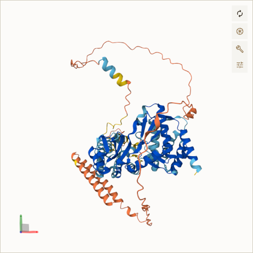 Predicted ribbon structure of COQ8A (Q8NI60) — coloured by sequence position from N-terminus (blue) to C-terminus (red)