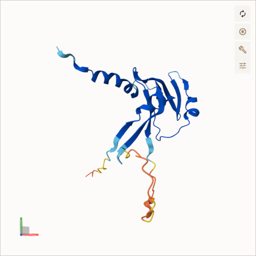 Predicted ribbon structure of RNASEH2C (Q8TDP1) — coloured by sequence position from N-terminus (blue) to C-terminus (red)