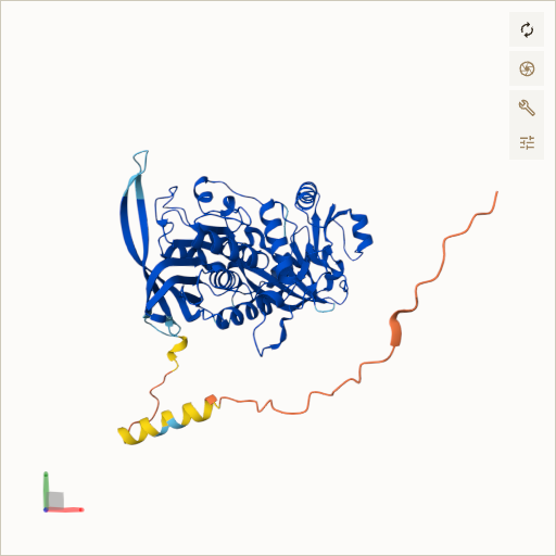 Predicted ribbon structure of FOXRED1 (Q96CU9) — coloured by sequence position from N-terminus (blue) to C-terminus (red)