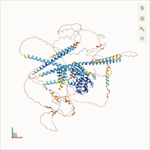 Predicted ribbon structure of NEK1 (Q96PY6) — coloured by sequence position from N-terminus (blue) to C-terminus (red)