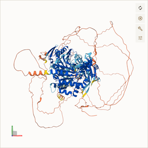Predicted ribbon structure of BRIP1 (Q9BX63) — coloured by sequence position from N-terminus (blue) to C-terminus (red)