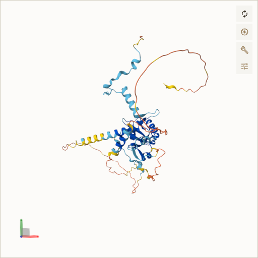 Predicted ribbon structure of CEP41 (Q9BYV8) — coloured by sequence position from N-terminus (blue) to C-terminus (red)
