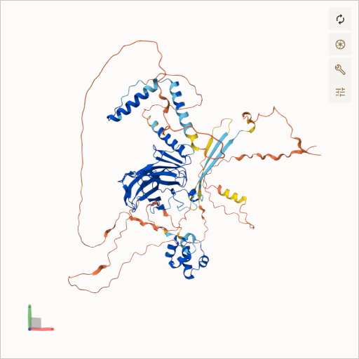 Predicted ribbon structure of TP63 (Q9H3D4) — coloured by sequence position from N-terminus (blue) to C-terminus (red)