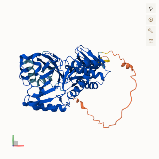 Predicted ribbon structure of L2HGDH (Q9H9P8) — coloured by sequence position from N-terminus (blue) to C-terminus (red)
