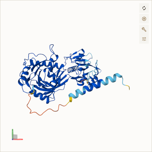 Predicted ribbon structure of FKRP (Q9H9S5) — coloured by sequence position from N-terminus (blue) to C-terminus (red)