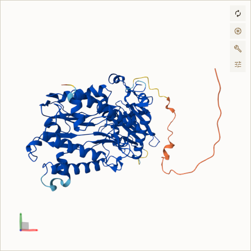 Predicted ribbon structure of XPNPEP3 (Q9NQH7) — coloured by sequence position from N-terminus (blue) to C-terminus (red)
