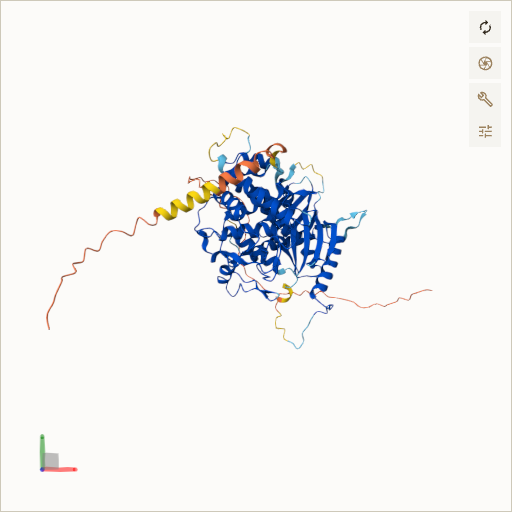 Predicted ribbon structure of MTPAP (Q9NVV4) — coloured by sequence position from N-terminus (blue) to C-terminus (red)
