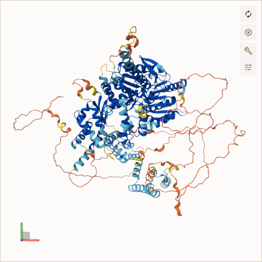 Predicted ribbon structure of RTEL1 (Q9NZ71) — coloured by sequence position from N-terminus (blue) to C-terminus (red)