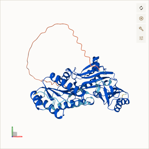 Predicted ribbon structure of SUCLA2 (Q9P2R7) — coloured by sequence position from N-terminus (blue) to C-terminus (red)