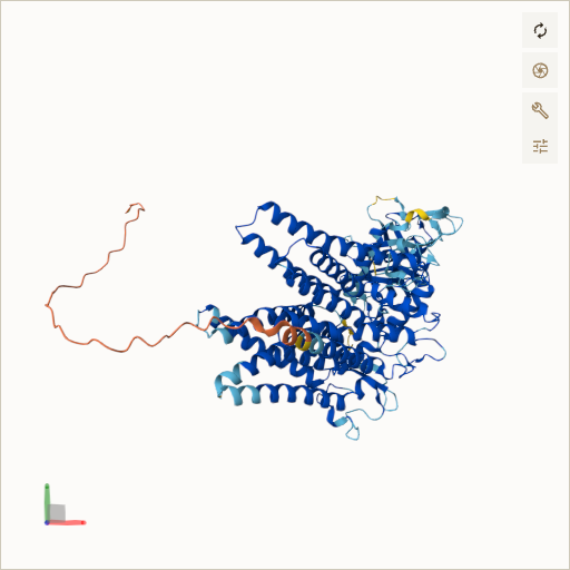 Predicted ribbon structure of POMT2 (Q9UKY4) — coloured by sequence position from N-terminus (blue) to C-terminus (red)