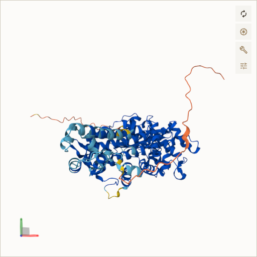 Predicted ribbon structure of SAMHD1 (Q9Y3Z3) — coloured by sequence position from N-terminus (blue) to C-terminus (red)