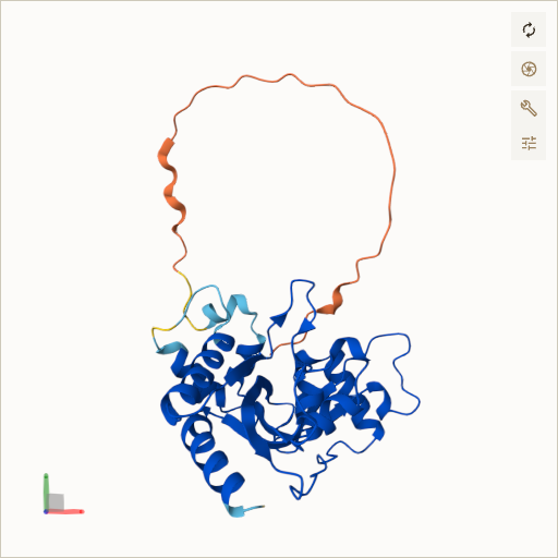 Predicted ribbon structure of MMACHC (Q9Y4U1) — coloured by sequence position from N-terminus (blue) to C-terminus (red)