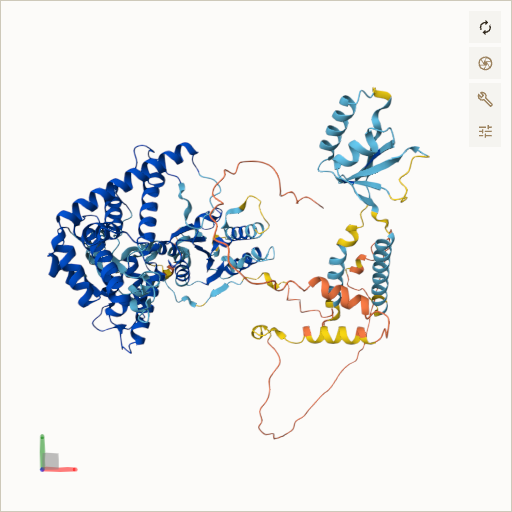 Predicted ribbon structure of AFG3L2 (Q9Y4W6) — coloured by sequence position from N-terminus (blue) to C-terminus (red)